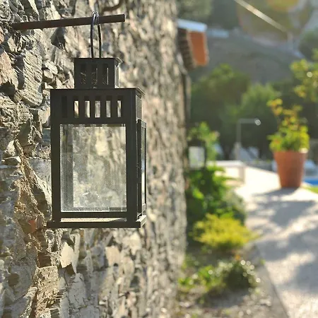 Quinta Da Palmeira - Retreat &