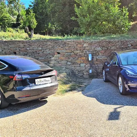 Quinta Da Palmeira - Retreat & Cerdeira (Arganil)