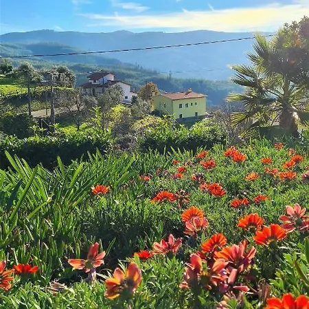 Quinta Da Palmeira - Retreat & Cerdeira