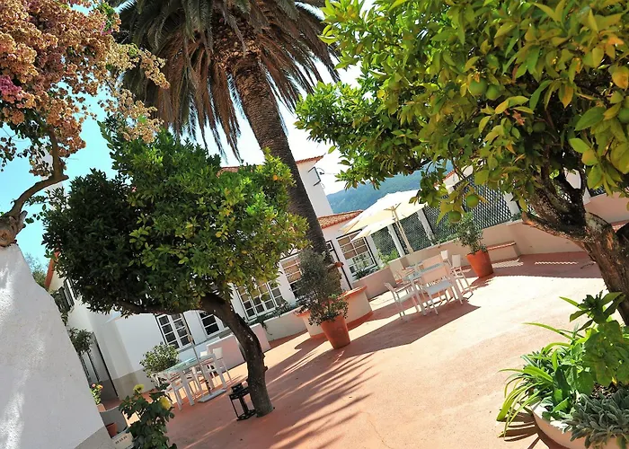 カントリーハウス Quinta Da Palmeira - Retreat & *