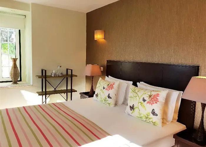 カントリーハウス Quinta Da Palmeira - Retreat & *