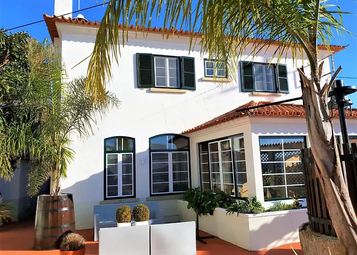 カントリーハウス Quinta Da Palmeira - Retreat & *