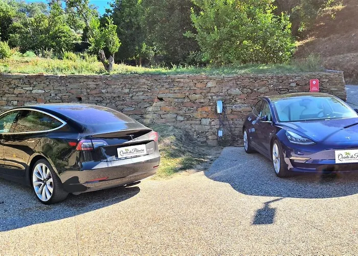 Quinta Da Palmeira - Retreat & Cerdeira